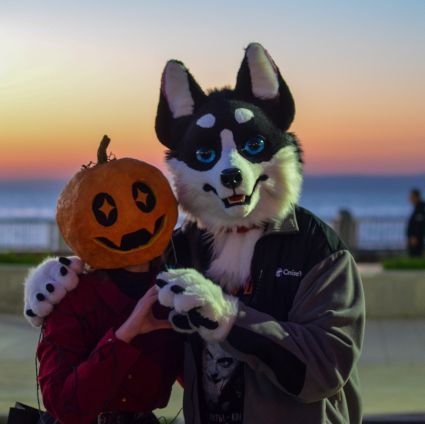 Fursuiter, petplayer (dog/donkey)
26 y.o.