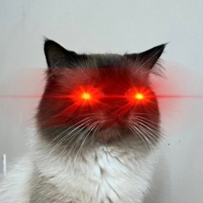 Jingsi31114082's profile picture. $BTC 💎🙌/Crypto Miners/ Stocks/ Strategic Options Trader/ This girl is boring, only knows making 💰 🚀🌕