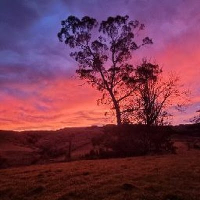 072Hill's profile picture. 