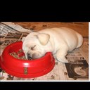 DanielHienSon - @DanielHienSon - Twitter