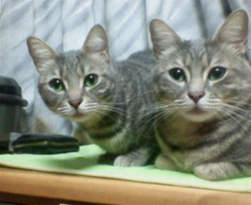 zwr11021's profile picture. 