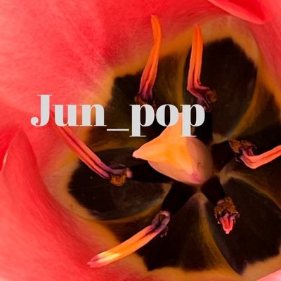 junpop_manjun's profile picture. 歌を歌うことと、写真を撮ることが大好きです。 最近は動画にも挑戦しています。