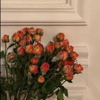 🦋 (@asr1999) 's Twitter Profile