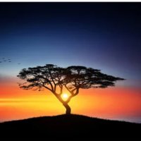 Lawrence Yarbrough (@tyarbr98) 's Twitter Profile