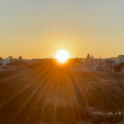 tktree10's profile picture. やくめをおえてこのたび自由になりました