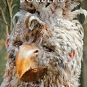 Archie Gibbs - @GibbsArchie - Twitter