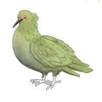 pkkoro (@pkkoro150032) 's Twitter Profile