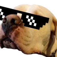 noFate | ǝʇɐℲou (@pigoum291039) 's Twitter Profile Photo noFate | ǝʇɐℲou (@pigoum291039) 's Twitter Profile Photo