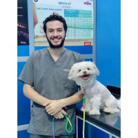 البَاسٍم🗡️ (@bessomorad) 's Twitter Profile