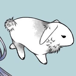 ヌイ🐈‍⬛さんのプロフィール画像