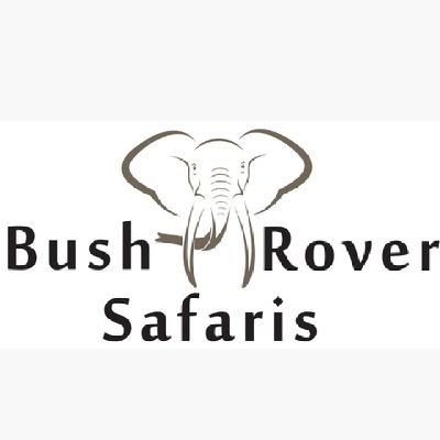 Bush rover safaris is determine to offer multi destinations camping safari in prime areas.Scheduled tours,tailor made friends,families,groups and couples .