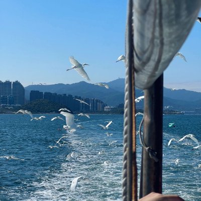 cg9_gwhfgj's profile picture. 私の趣味は沢山あります、、
その国の文化を知るには言葉を知るのが一番良いのでしょうか？