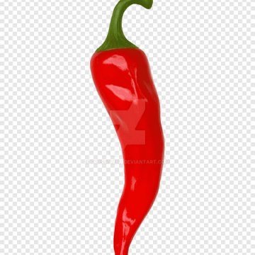 Living Jalapeño with a YouTube channel
NSFW, zoos, DNI
⚠️MINOR⚠️
Don’t ask me to commission you