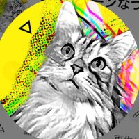 ぱらもん(@para_mon) 's Twitter Profile Photo