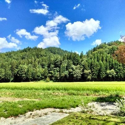 macchahan_2093's profile picture. 「𝕏 弱小アカウントを駆使して非稼ぐ系コンテンツ販売で3億6280万円」の師匠のコンテンツを紹介 | この戦略でアフィリ初心者が𝕏 で月3〜15万円継続的に稼ぎ続けるノウハウを解説したメール講座案内中 | アフィリエイト初月から43,500円、3か月で135,000円達成