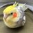 takahako avatar