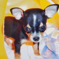 あきな (@0114_0117) 's Twitter Profile