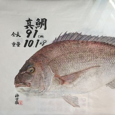 しがない場末の釣具屋です。現場で足りない物があればお立ち寄りください。南房。