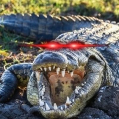 troppo_NT's profile picture. Sensibly centred, Jesus is Lord. ✝️