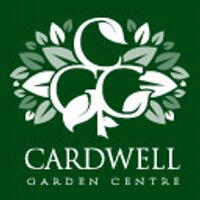 CardwellGC (@cardwellgc) 's Twitter Profile Photo