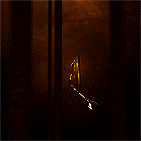 PeetaKatGale's profile picture. I've read all the books from HG , Thank you  Suzanne Collins ! and are you a fan ? so follow me thanks