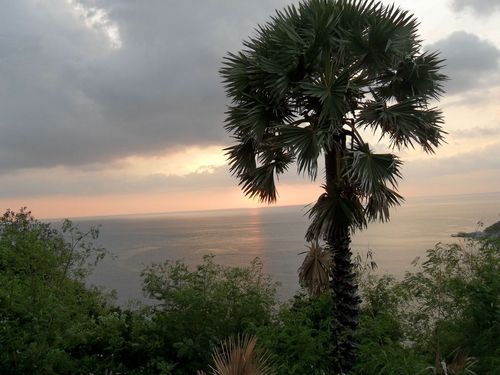 0wonlove's profile picture. 지극 평범,소심사람/군중보단개인/헤비메탈,락/걸그룹/게임/장난끼/감성/직장인/74,호랭이