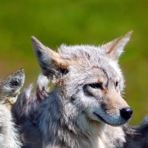 Claudio11131's profile picture. 168×69×48／Ｇ／Tokyo グルメ ピアノ 旅行 谷山浩子 等