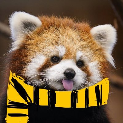 samsamdesuu's profile picture. ☔️みつき☔️ ❤ @Mitsuki_ilpleut ❤ ISFP Hufflepuff 🇭🇰🇰🇷🇬🇧