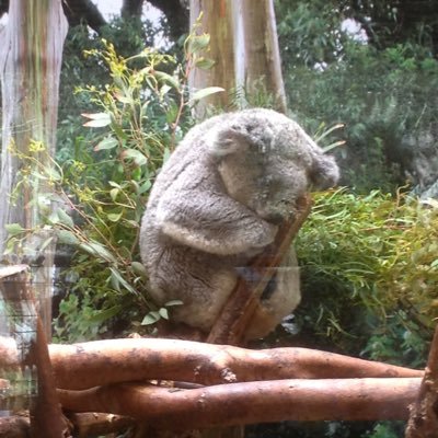 Get WildでTM NETWORKの虜になり30数年、intelligence daysツアーから復帰参戦した出戻りFANKS。空白期間を埋めるべく、ただいま全力で推し活中。FANKSの皆さんと繋がれたら嬉しいです。無言フォロー失礼します🙇♀️今年からたま〜に絵を描いてます。