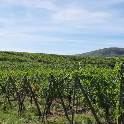 AdFon3's profile picture. 