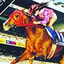 nmmt_yk's profile picture. 