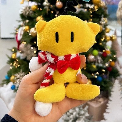 kc_9158's profile picture. #오타쿠#일상러#힐링여행러#비혼러#페미니스트#4B#경제공부중#내집마련