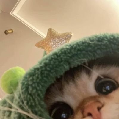 น้องฮ้าท