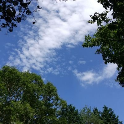 biosalt2022's profile picture. 