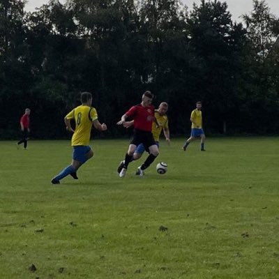 TaylorMitch17's profile picture. 