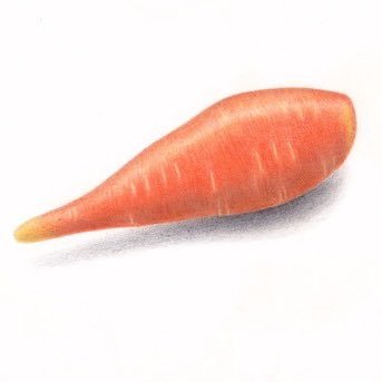アナ雪好きのにんじん。舞台沼に落ちかけている。推し事とお絵描きと日常の呟き。好物は🍠。