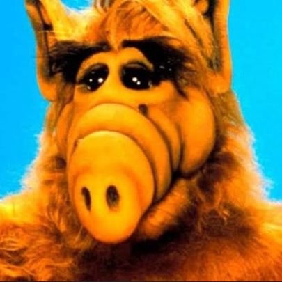 Alf _