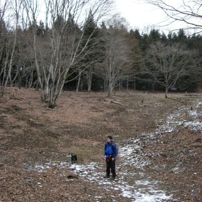 好きなNHK海外ドラマ=ヤングライダーズ
好きなドラマ=プロポーズ大作戦
好きなスポーツ=日帰り登山
好きな楽器=ギター
好きな車=ハイゼットトラックS211P
好きなウェア=A-2フライトジャケット
好きなヒーロー=インディージョーンズ, ランボー, 木枯し紋次郎
好きな戦史=独ソ戦
好きな観賞魚=ポリプテルス