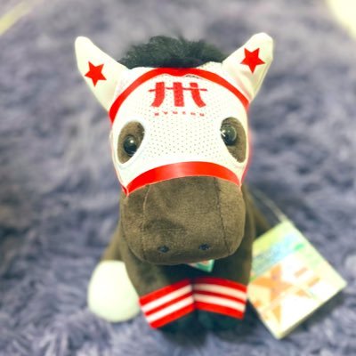 無ぬい🎀/馬ぬい🐴/たまにぬい服も作っています👗