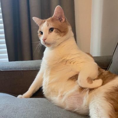 n_n_ppbb's profile picture. 🖤