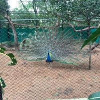 Delphia Bartoletti (@delphiab20571) 's Twitter Profile