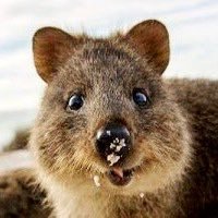 心の花は赤いゼラニウム