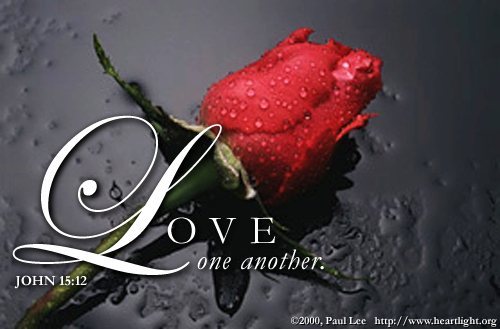 RebekaJalovec's profile picture. 