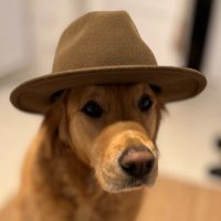 slangdog (@cryptoslang1) 's Twitter Profile