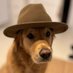 slangdog (@cryptoslang1) Twitter profile photo slangdog (@cryptoslang1) Twitter profile photo