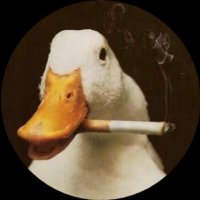 Rutherford B. Crazy 🔻 (@dumpstertwink) 's Twitter Profile