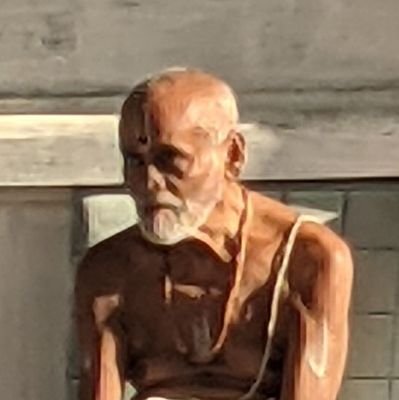 SrinivasanMayu Profile Picture
