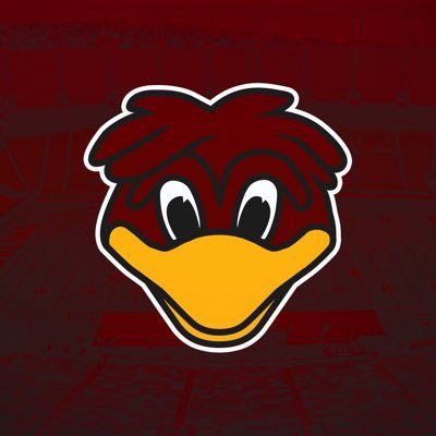 Gamecocks Today Profile