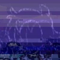 Alexys Hauck (@alexys_hau68552) 's Twitter Profile