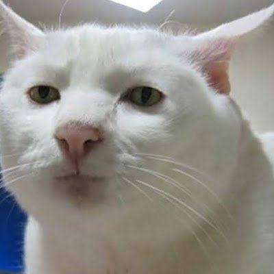 CarlosBuen8424's profile picture. 